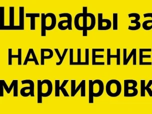 Справка по запуску механизма автоматического привлечения к административной ответственности на основании данных государственной информационной системы маркировки