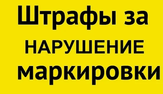 Справка по запуску механизма автоматического привлечения к административной ответственности на основании данных государственной информационной системы маркировки