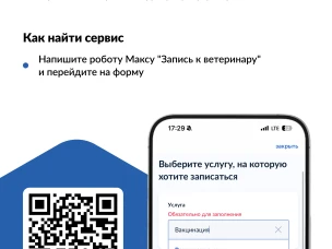 Заботиться о питомцах стало проще: записаться к ветеринару теперь можно на «Госуслугах»