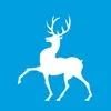 Муниципальное бюджетное учреждение дополнительного образования "Спортивная школа "Арефино""
